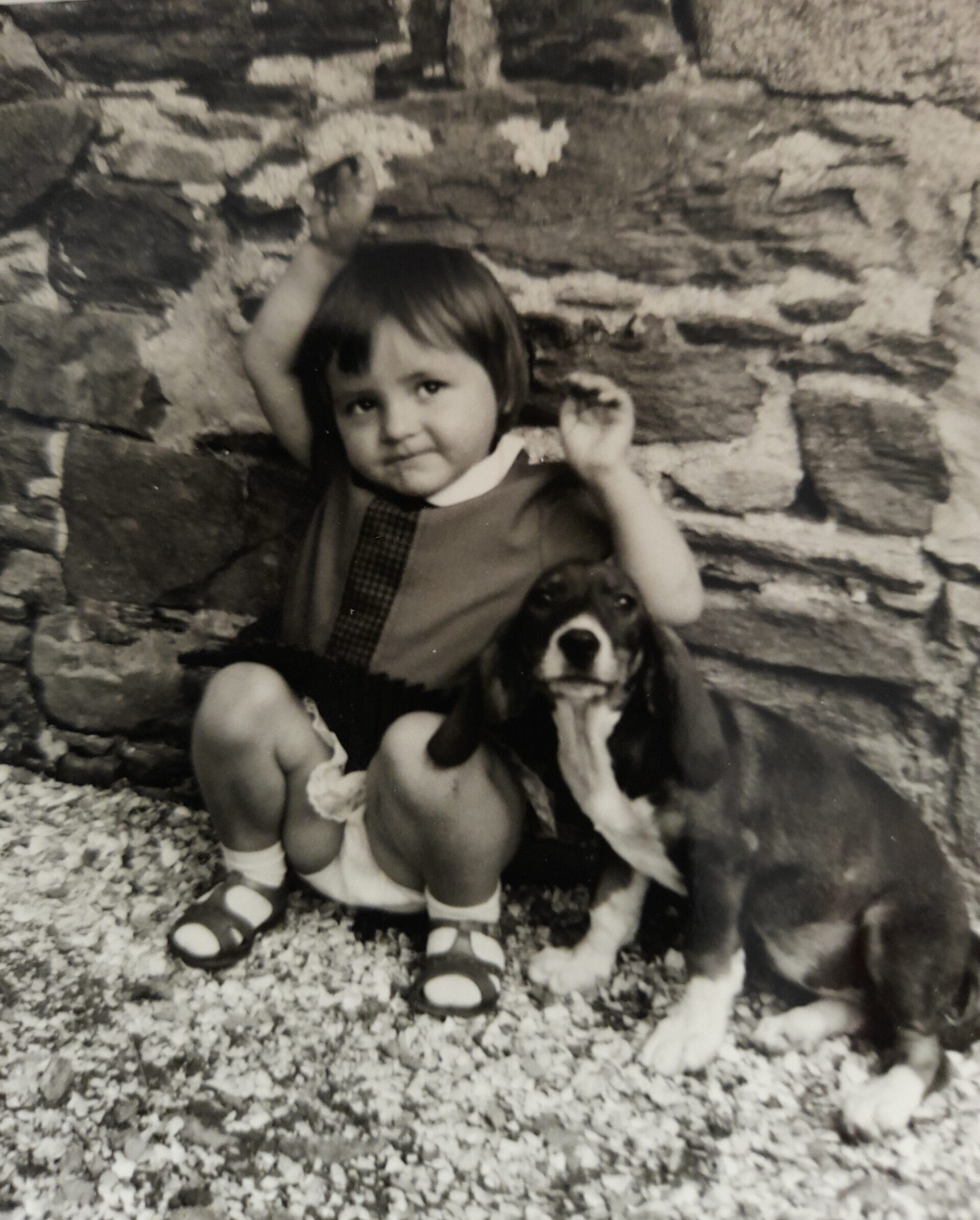 20250721_172214 enfant avec chien